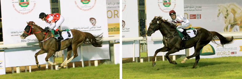 Victories by Swiss lady, Australian teenager reflect global character of HH Sheikh Mansoor Festival
